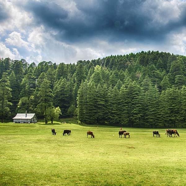 Dharamshala Dalhousie Taxi Package From Delhi