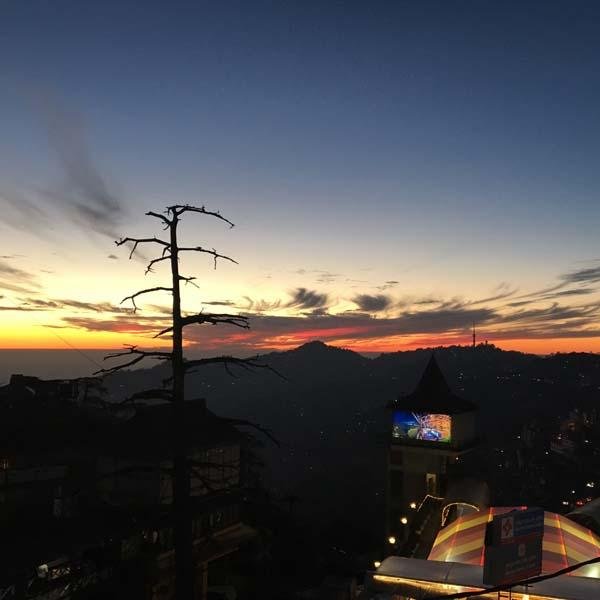 Shimla Chail Local Sightseeing Taxi Tour